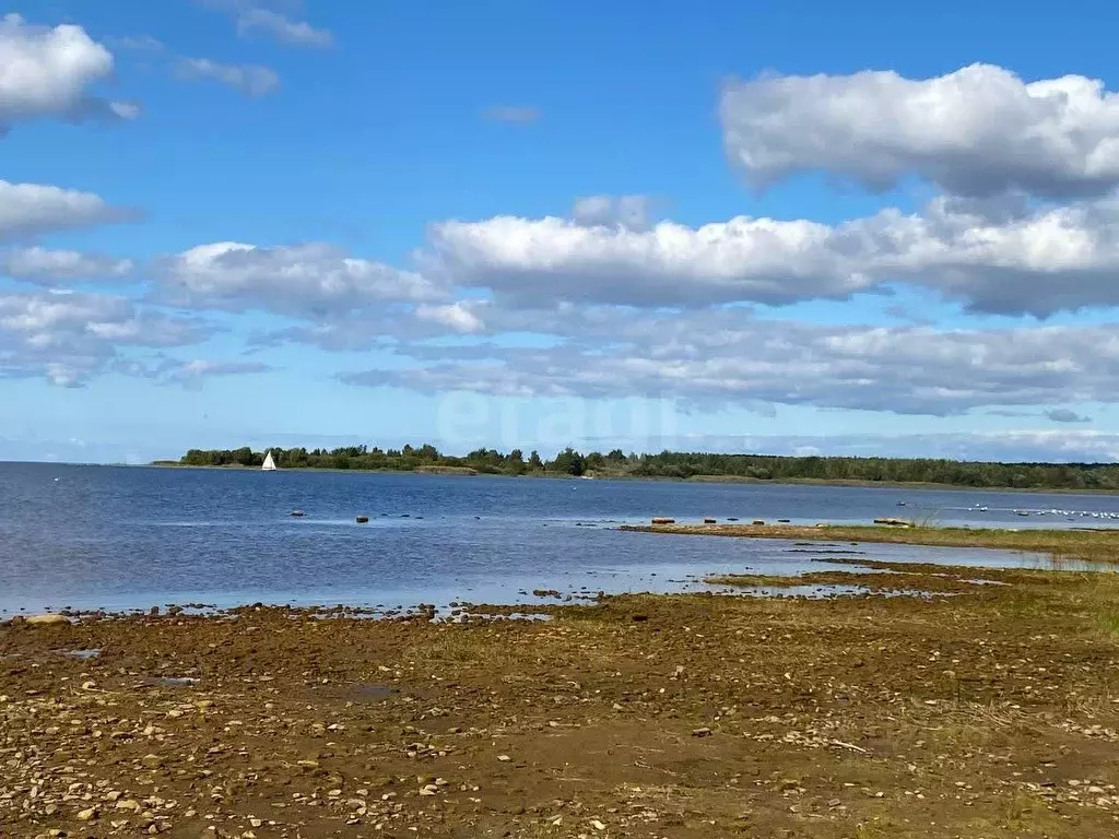 Участок в Ярославская область, Рыбинский муниципальный округ, д. ... - Фото 1
