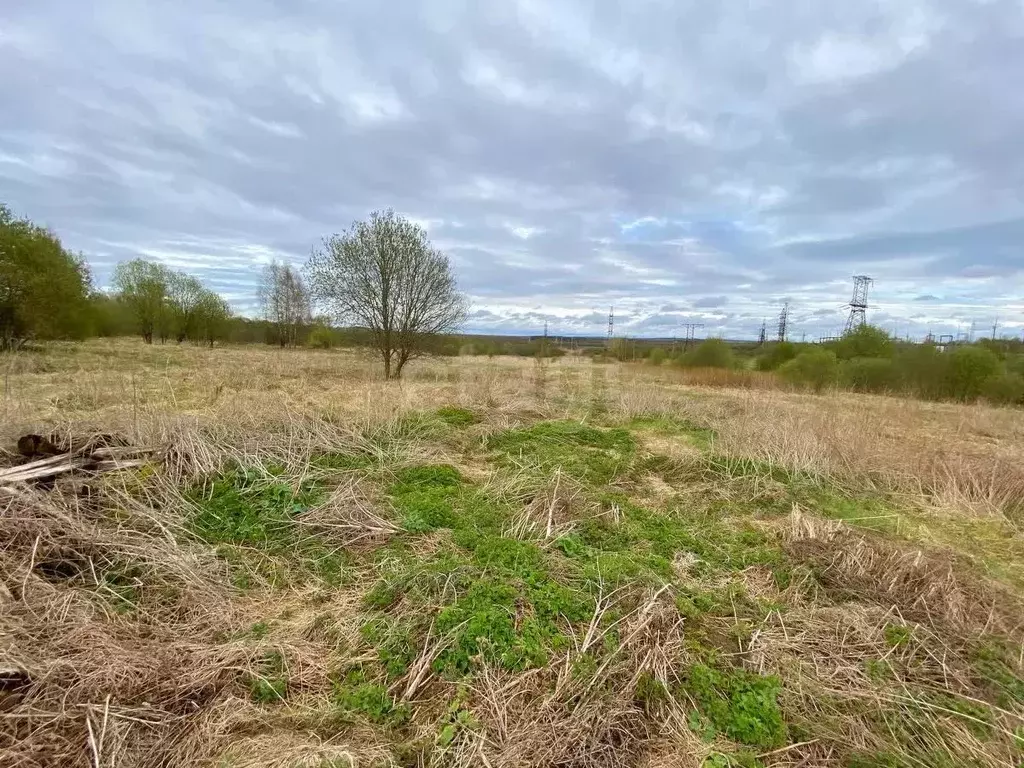 Участок в Ярославская область, Ярославский муниципальный округ, д. ... - Фото 1