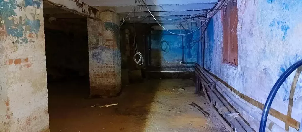 Помещение свободного назначения в Ярославская область, Ярославль ул. ... - Фото 2