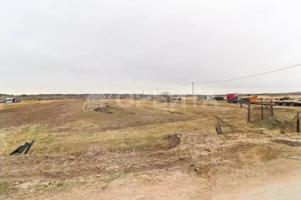 Участок в Тюменская область, Тюменский муниципальный округ, д. Малые ... - Фото 2