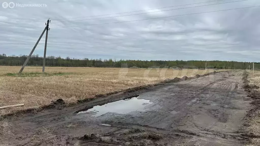 Участок в Свердловская область, Тугулымский муниципальный округ, ... - Фото 0