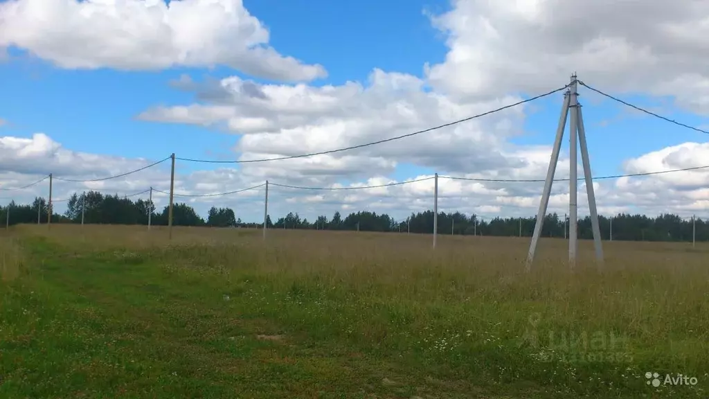 Участок в Новгородская область, Новгородский район, Ракомское с/пос, ... - Фото 0