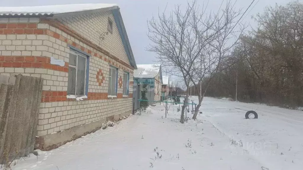 Дом в Белгородская область, Корочанский район, Кощеевское с/пос, ... - Фото 1