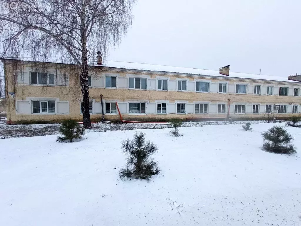 1-комнатная квартира: Саратовская область, рабочий посёлок Татищево, ... - Фото 1