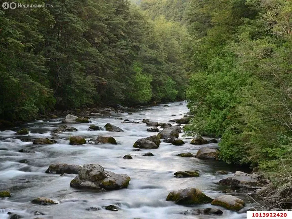 Участок в Куринское сельское поселение, хутор Городок (10 м) - Фото 1