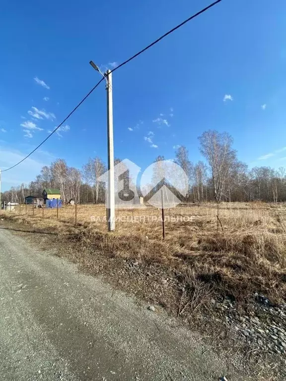 Участок в Новосибирская область, Мошковский район, Барлакский ... - Фото 1