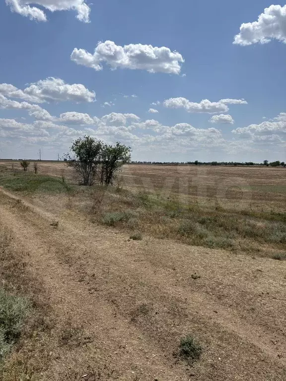 Участок 16,8 га (СНТ, ДНП) - Фото 1