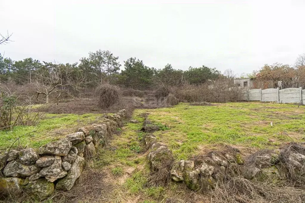 Участок в Севастополь ул. Лесная, 12 (9.2 сот.) - Фото 2