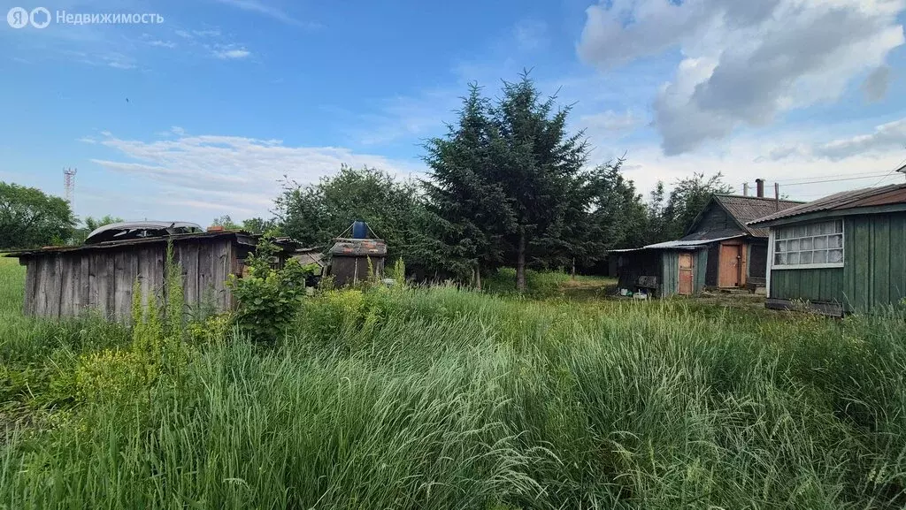 Дом в Белогорка, Центральная улица, 35 (37.5 м) - Фото 0