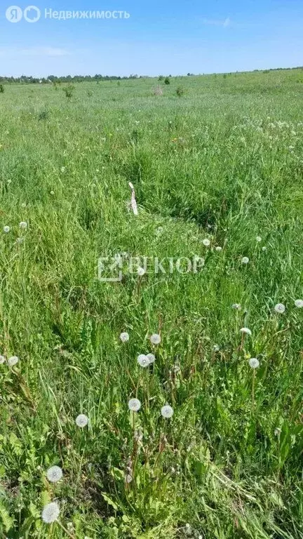 Участок в Иваново, 1-я Балинская улица (10 м) - Фото 2