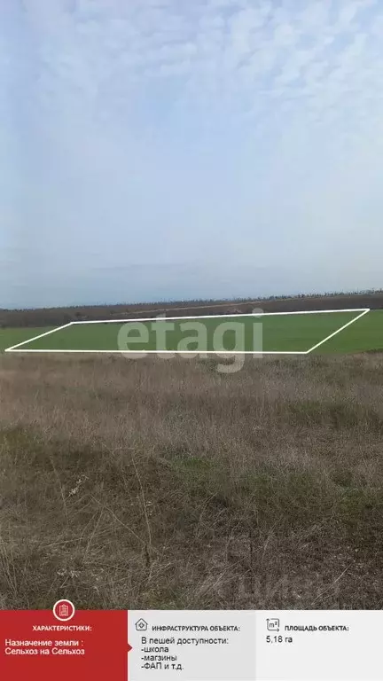 Участок в Крым, Сакский район, с. Добрушино ул. Урожайная, 14 (518.0 ... - Фото 0