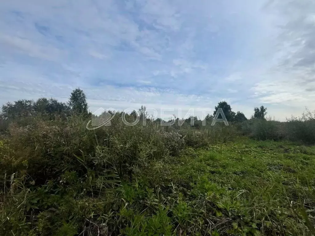 Участок в Тюменская область, Тюмень Ясень садовое товарищество,  (10.0 ... - Фото 1