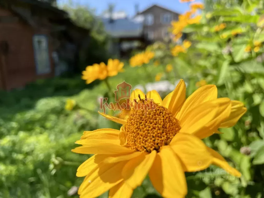 Участок в Владимирская область, Александров ул. Нахимова, 11 (7.7 ... - Фото 2