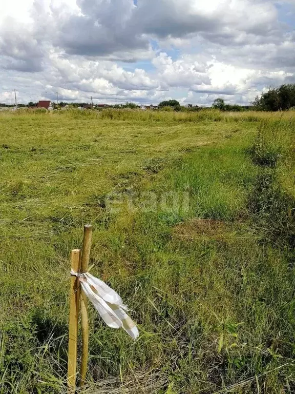 Участок в Вологодская область, Шекснинский район, д. Нифантово  (11.17 ... - Фото 1