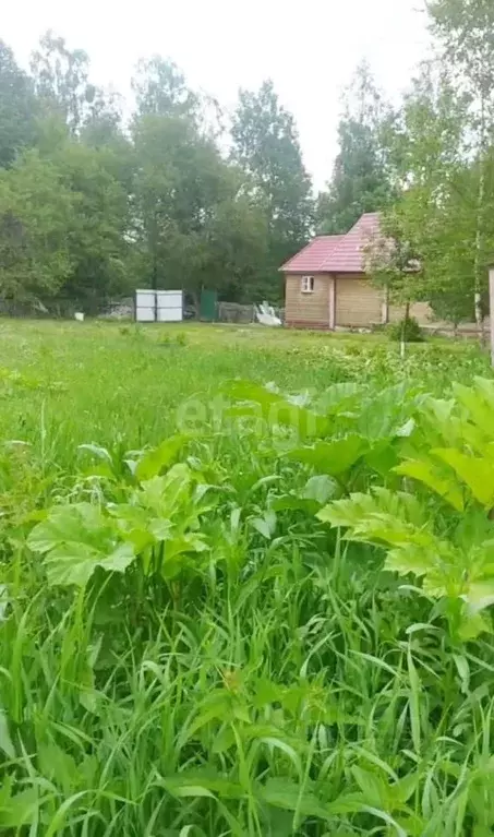 Участок в Калужская область, Сухиничский район, Дабужа с/пос, с. ... - Фото 1