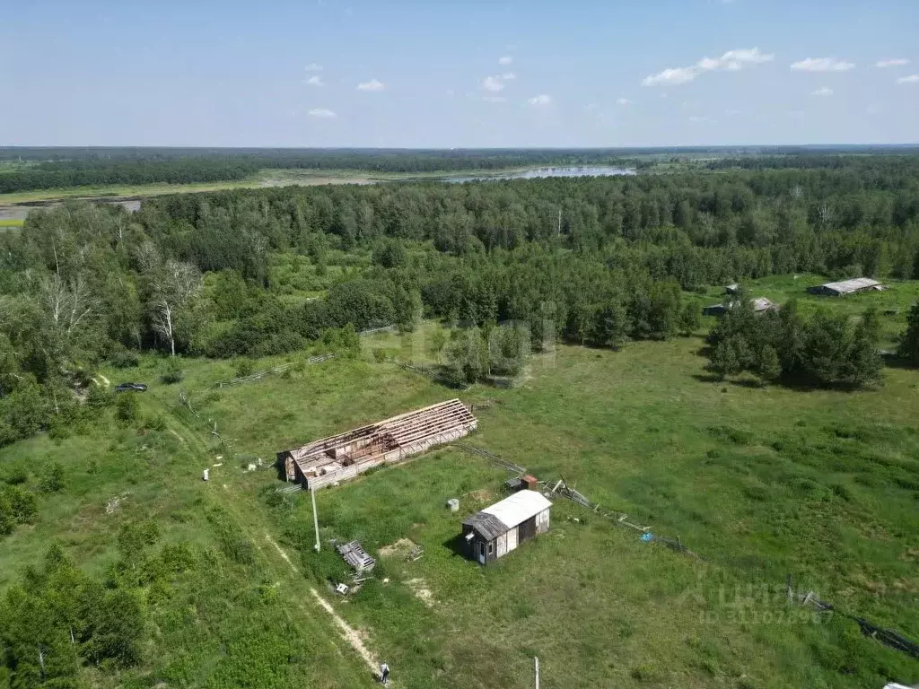 Участок в Тюменская область, Тюменский район, д. Головина  (7.91 сот.) - Фото 0