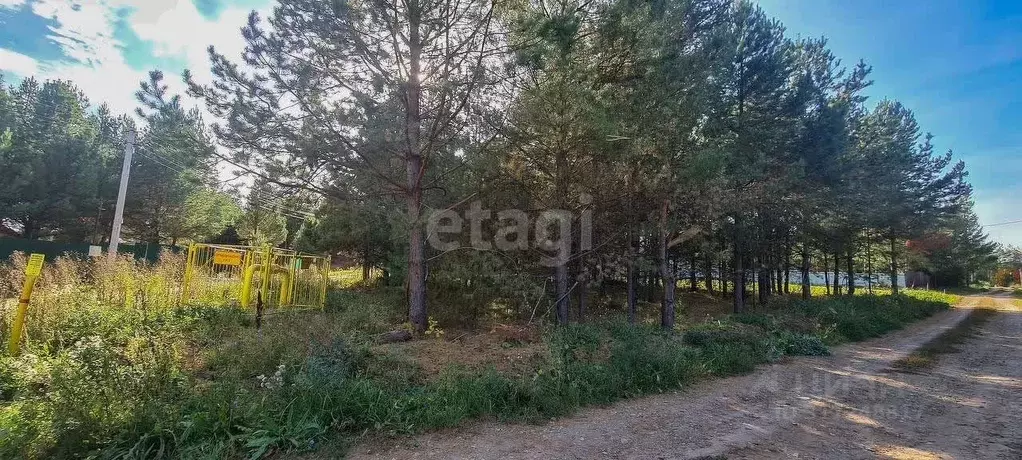 Участок в Удмуртия, Сарапульский район, д. Дулесово Луговая ул. (8.0 ... - Фото 0