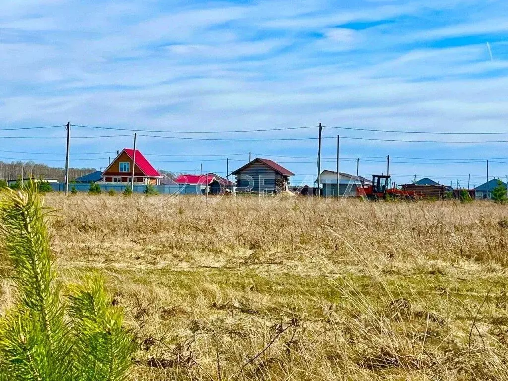 Участок в Тюменская область, Вагайский район, д. Елань Еланская ул., 5 ... - Фото 1