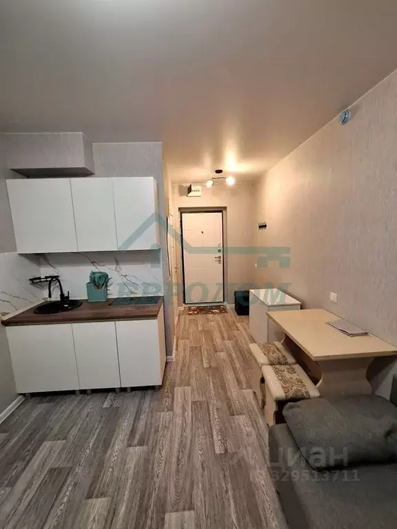 Студия Новосибирская область, Новосибирский район, Станционный ... - Фото 1