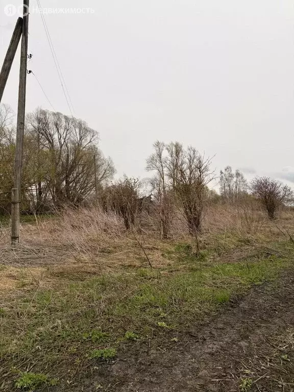 Участок в деревня Прилепы, Садовая улица (25 м) - Фото 1
