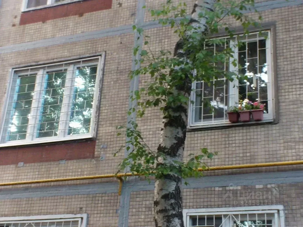 Комната Московская область, Балашиха ш. Энтузиастов, 67 (14.0 м) - Фото 1