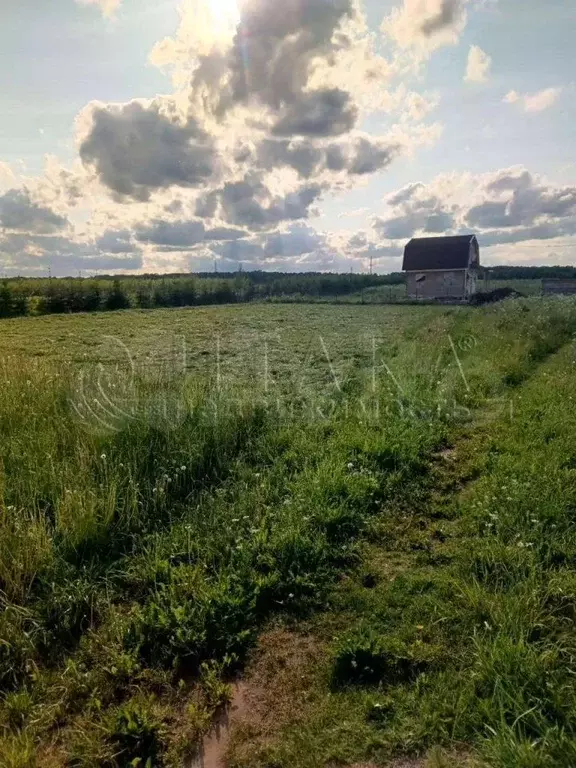Участок 12,3 сот. (ИЖС) - Фото 0