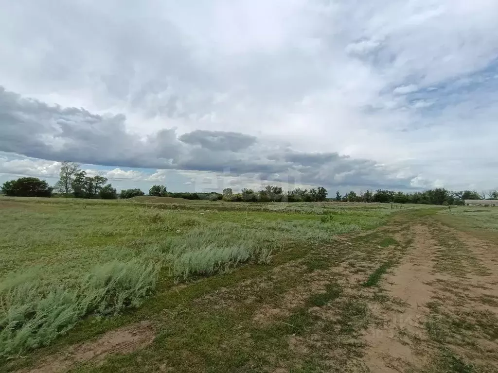Участок в Оренбургская область, Оренбург городской округ, пос. ... - Фото 1
