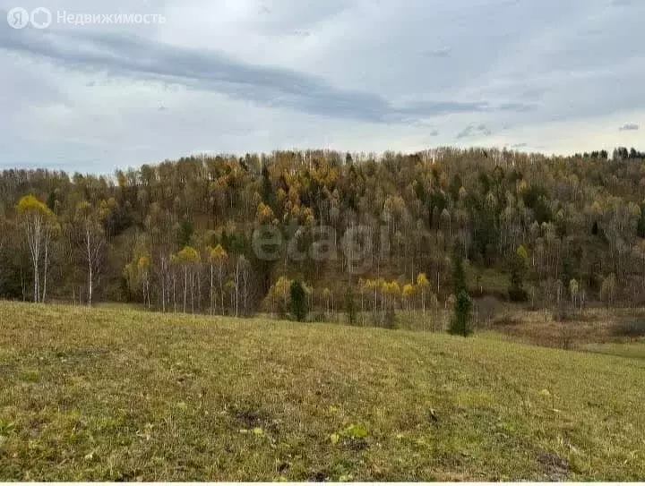 Участок в Чемальский район, село Бешпельтир (4.3 м) - Фото 1