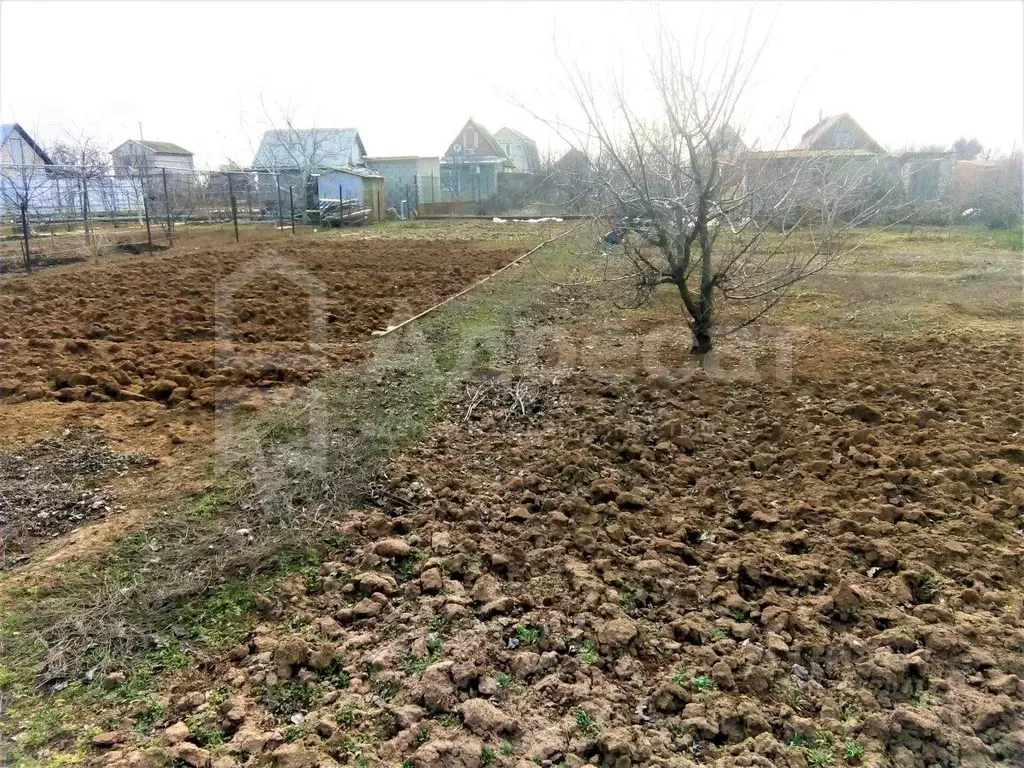 Участок в Волгоградская область, Светлоярский район, ... - Фото 0