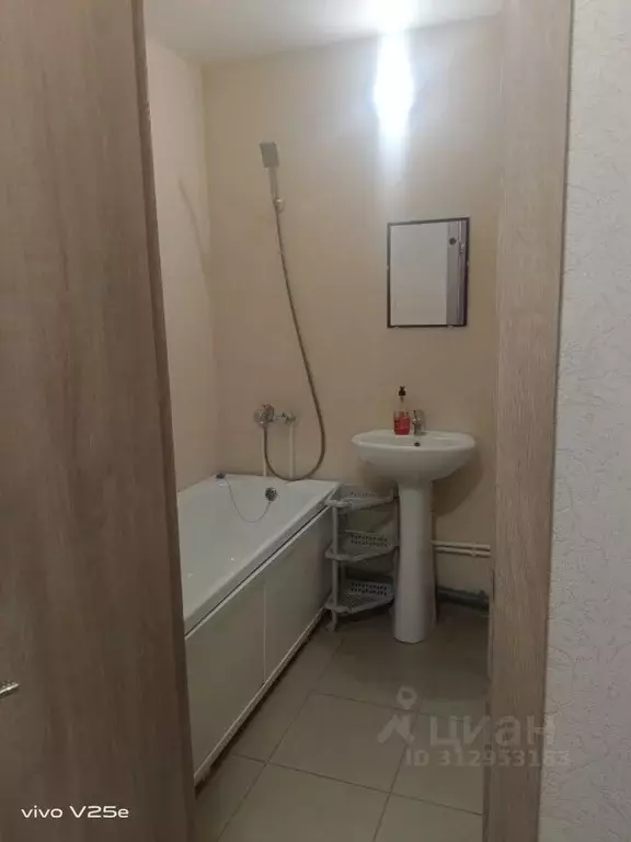 1-к кв. Воронежская область, Рамонский район, Яменское с/пос, Ветряк ... - Фото 2