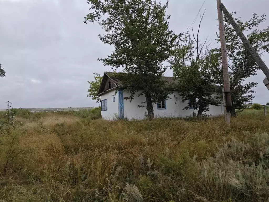 Дом в Новосибирская область, Карасукский муниципальный округ, с. ... - Фото 0