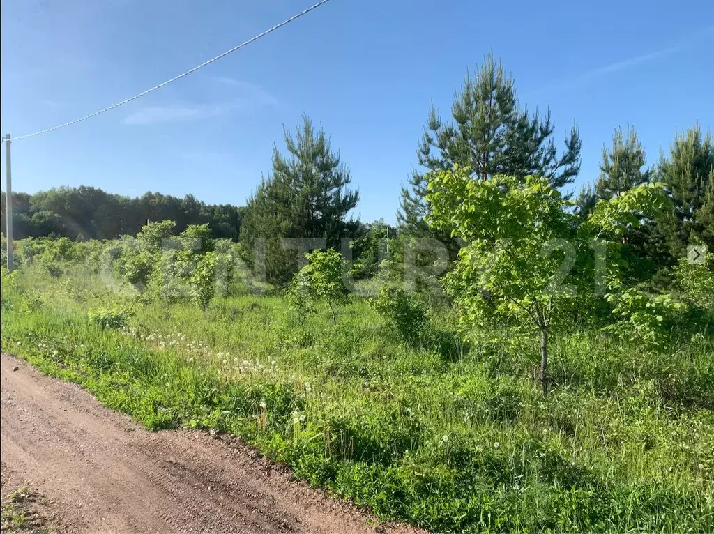 Участок в Башкортостан, Иглинский район, Акбердинский сельсовет, ... - Фото 2