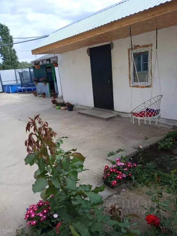 Дом в Оренбургская область, Соль-Илецк Челкарская ул., 96 (46 м) - Фото 2