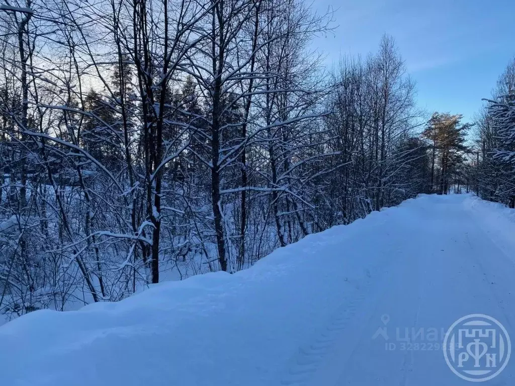 Участок в Ленинградская область, Кировский район, пос. Мга ул. ... - Фото 1