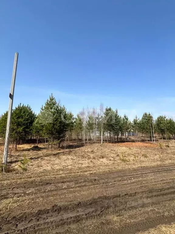 Участок в Тюменская область, Тюменский район, Княжево-2 кп  (6.0 сот.) - Фото 0
