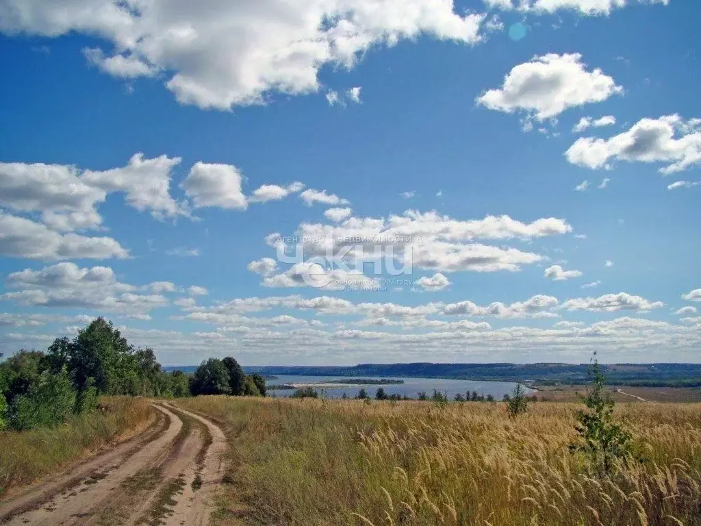 Участок в Нижегородская область, с. Безводное  (4.5 сот.) - Фото 1