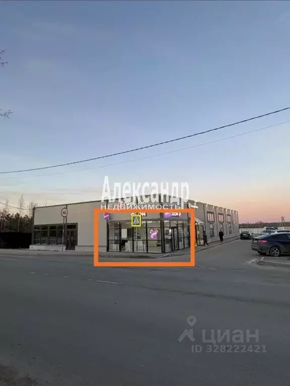 Торговая площадь в Ленинградская область, Гатчинский муниципальный ... - Фото 1