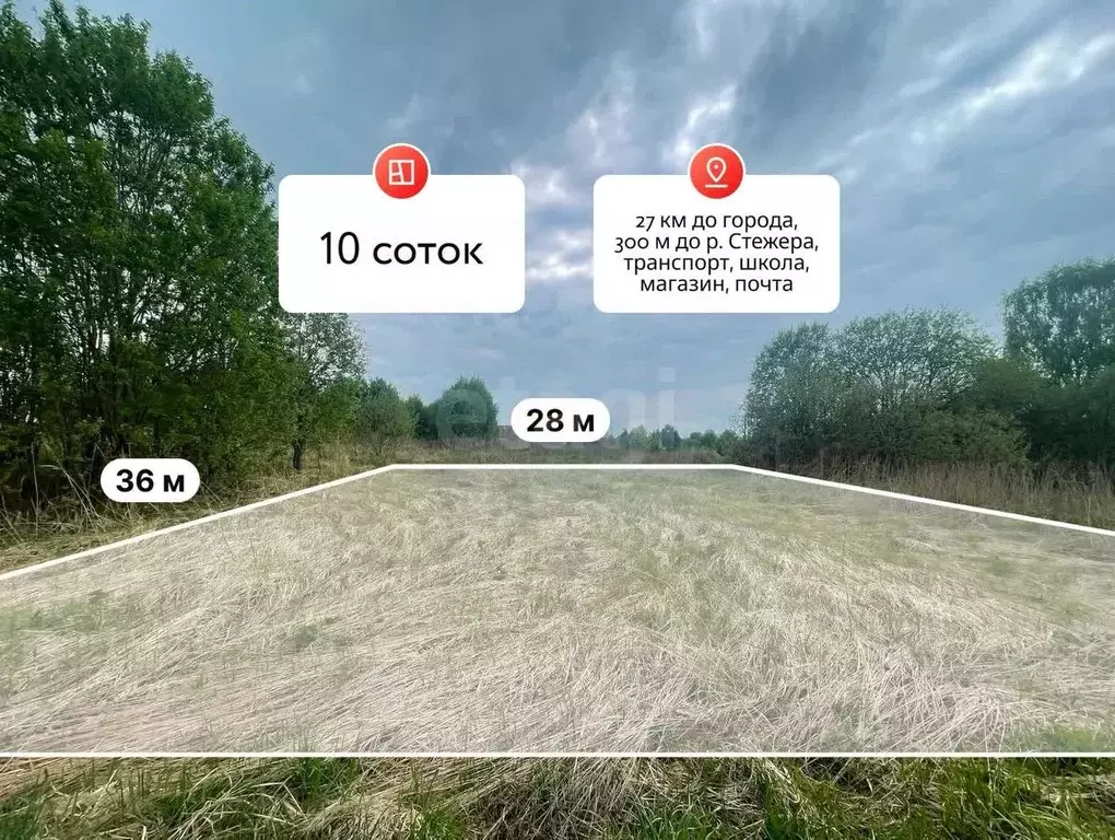 Участок в Костромская область, Красносельский район, Шолоховское ... - Фото 1