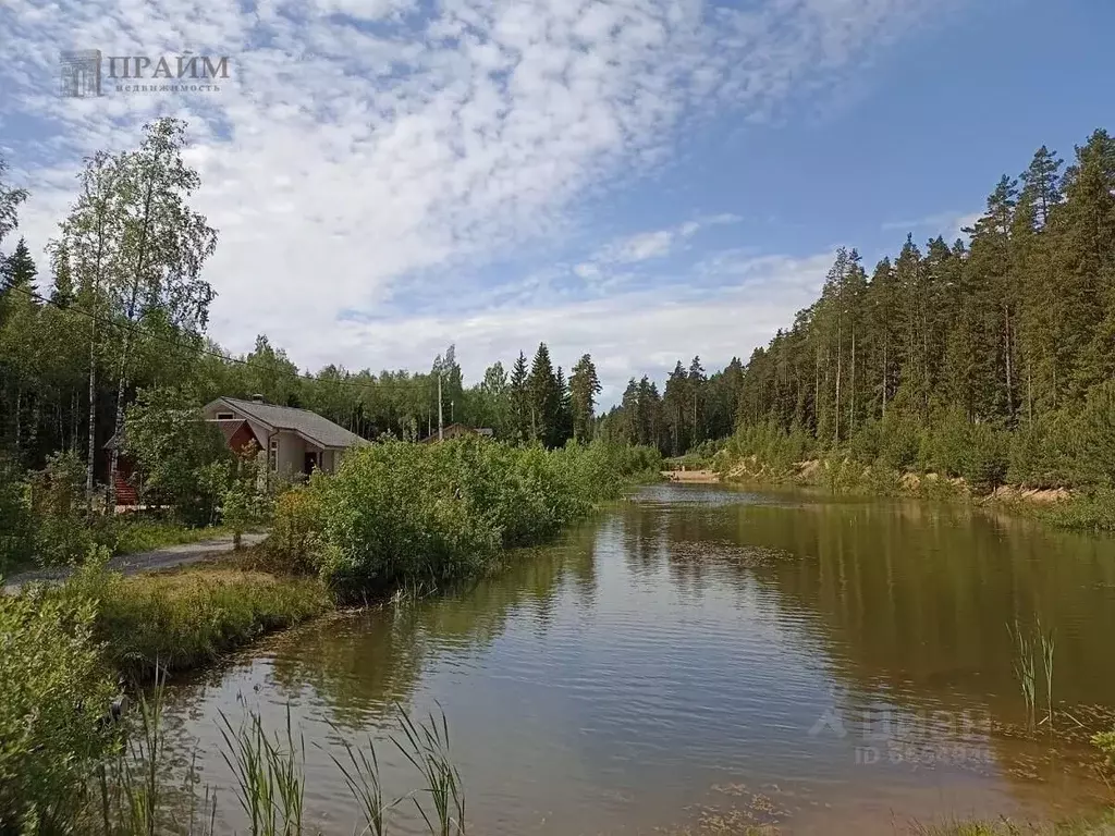 Участок в Ленинградская область, Приозерский район, Раздольевское ... - Фото 1