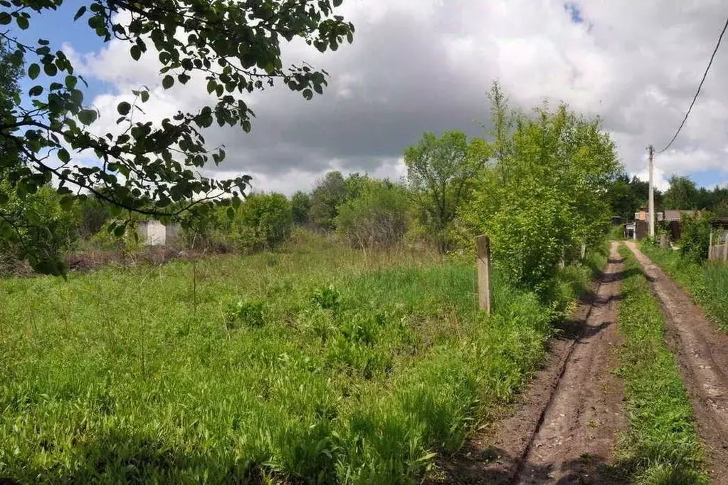 Участок в Амурская область, Благовещенск с. Верхнеблаговещенское, ул. ... - Фото 0