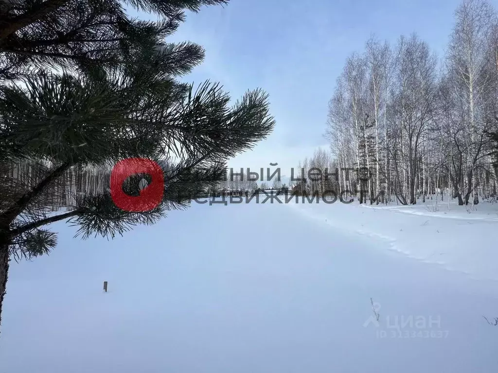 Участок в Тюменская область, Нижнетавдинский район, Геолог-2 СНТ  ... - Фото 0