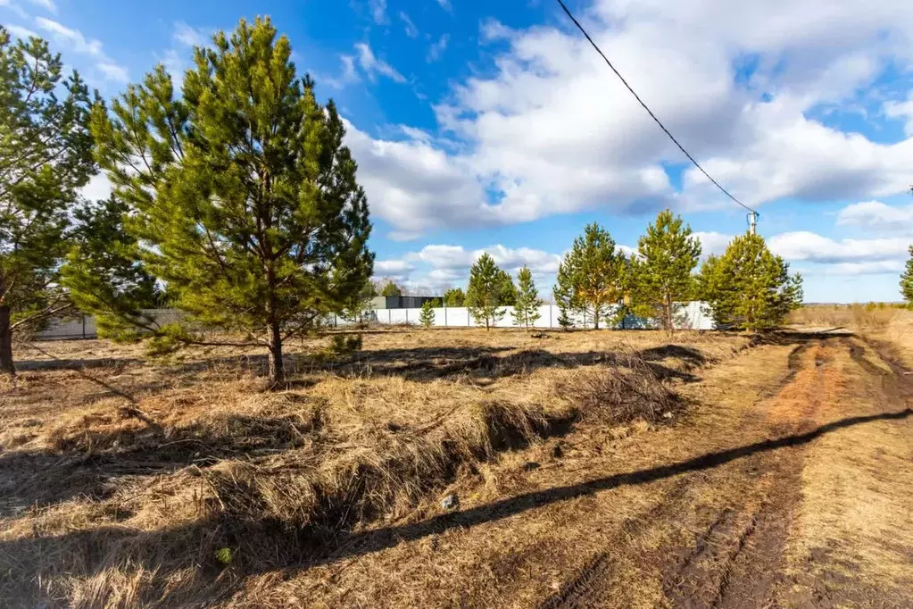 Участок в Тюменская область, Тюменский район, д. Елань ул. Таежная ... - Фото 1