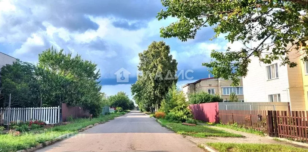 Участок в Воронежская область, Хохольский район, с. Новогремяченское ... - Фото 0