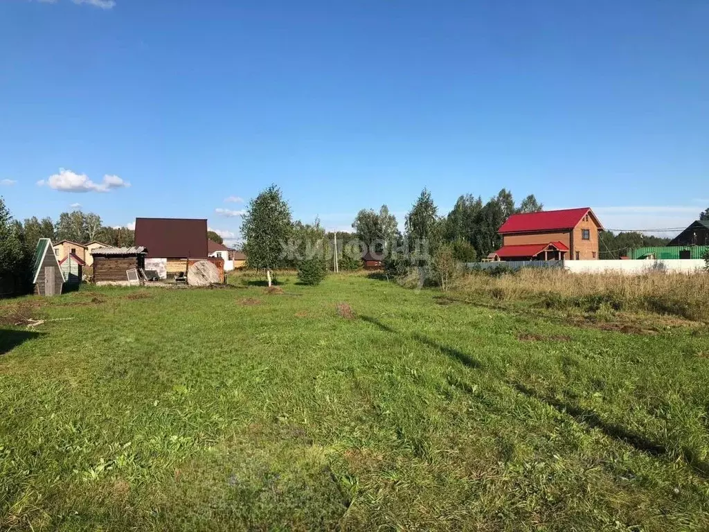 Участок в Новосибирская область, Новосибирский район, Морской ... - Фото 0