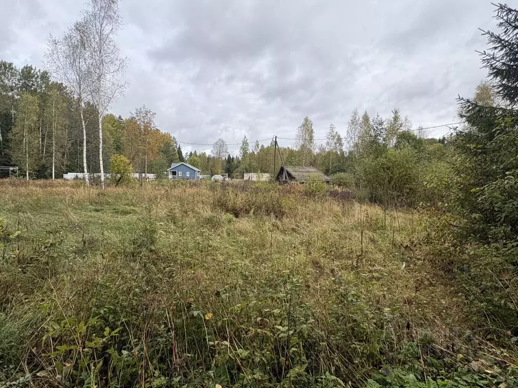 Участок в Ленинградская область, Выборгский район, Советское городское ... - Фото 1
