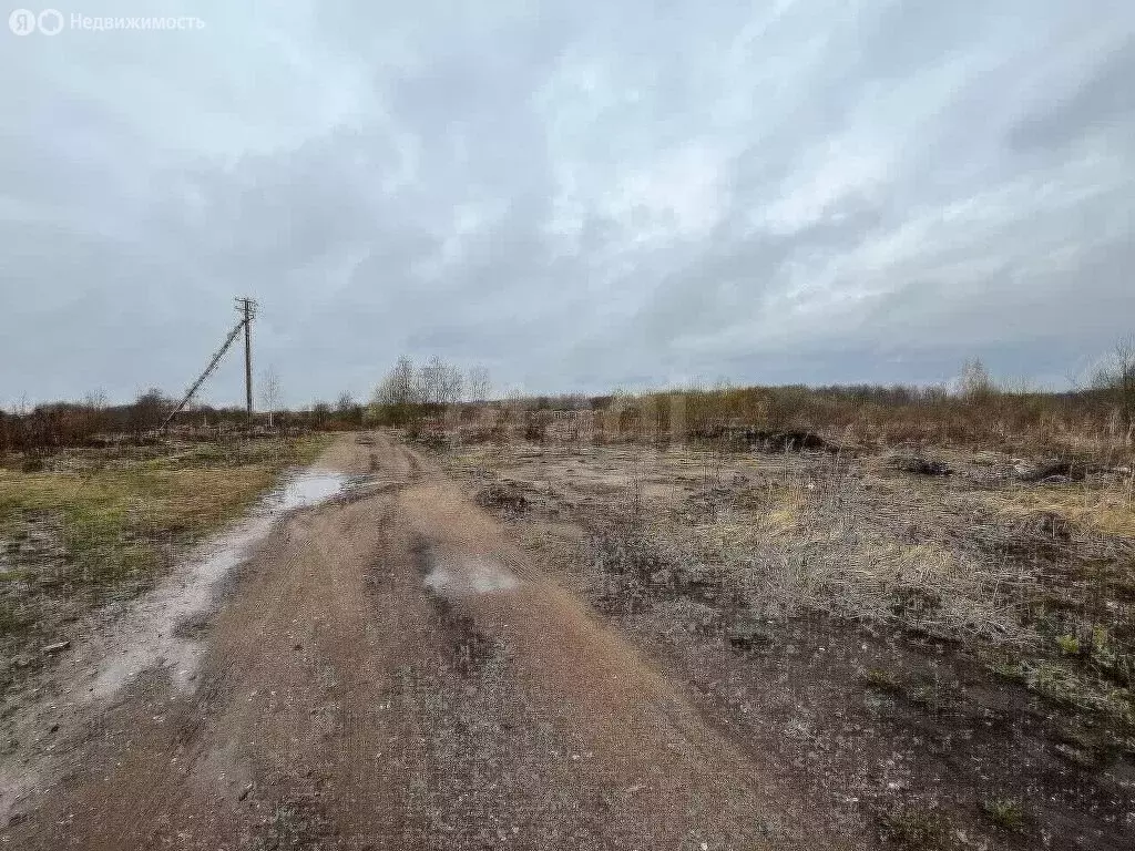 Участок в посёлок городского типа Красное-на-Волге, посёлок ... - Фото 0