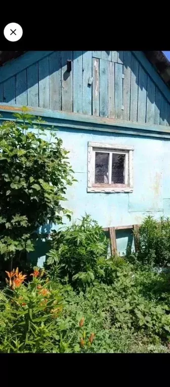 Дом в Иркутская область, Черемховский район, Михайловка рп пер. ... - Фото 2