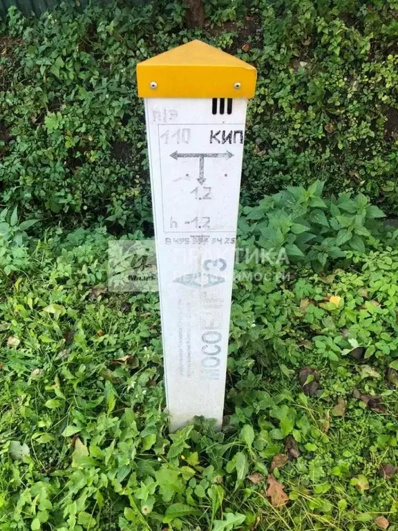 Участок в Московская область, Одинцовский городской округ, с. Дубки ... - Фото 2