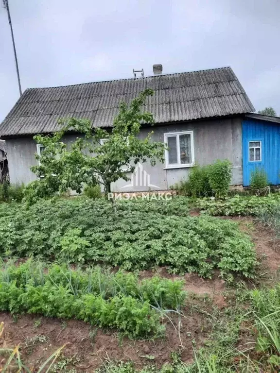 Дом в Брянская область, Клетнянский район, с. Лутна ул. Сельская, 11 ... - Фото 1