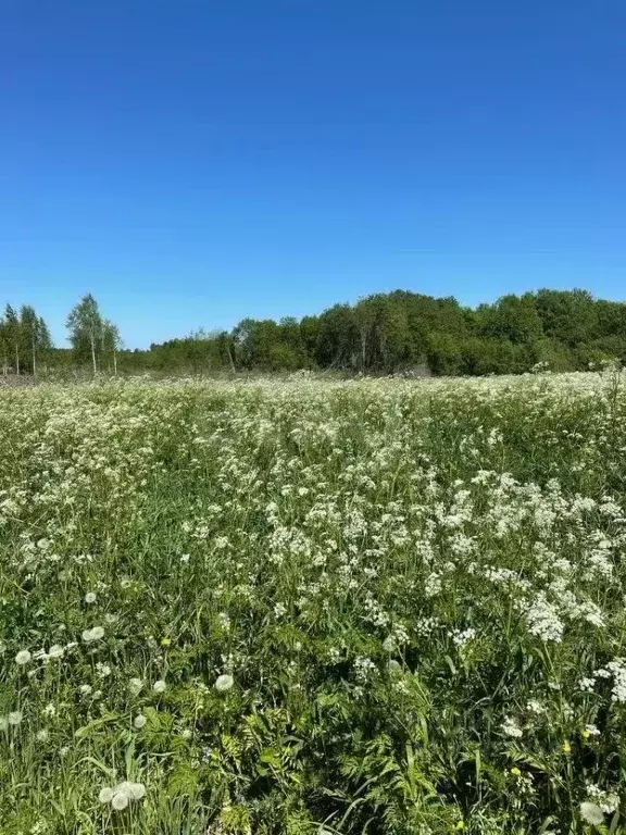 Участок в Вологодская область, Череповецкий район, Воскресенское ... - Фото 0